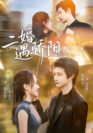 短剧《二婚遇骄阳》65集短剧高清在线免费看全集