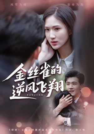 金丝雀的逆风飞翔（80集） 一口气看到热门短剧大结局