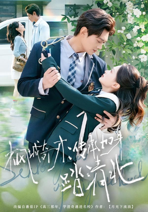 短剧《枫城奇才：传承加身踏清北》80集短剧超清免费在线观览