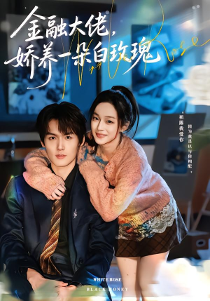 短剧《金融大佬，娇养一朵白玫瑰》70集短剧高清在线抢先看