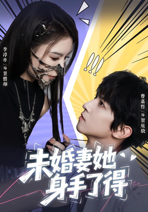 短剧《未婚妻她身手了得》50集短剧超清画质在线追