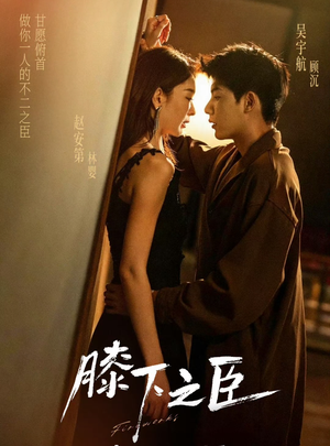 膝下之臣（56集）超甜短剧抢先看