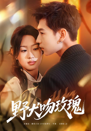 短剧《野犬吻玫瑰》70集短剧超清画质在线追剧