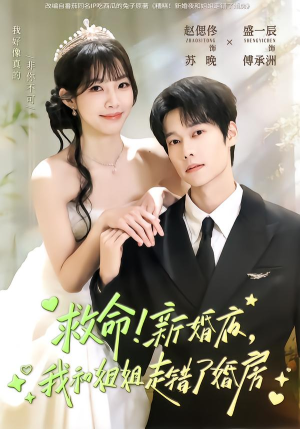 短剧《救命！新婚夜，我和姐姐走错了婚房》58集短剧在线解锁全集畅快看