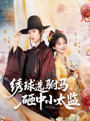 绣球选驸马，砸中小太监（81集）精彩短剧天天看超级热播短剧