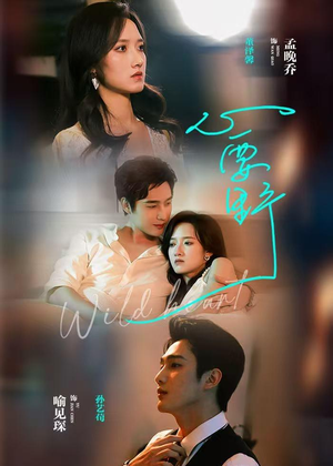 心要野（62集）全集短剧免费观看