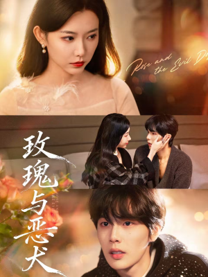 短剧《玫瑰与恶犬》80集短剧全集免费在线观看完整