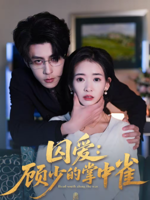 囚爱：顾少的掌中雀（70集）一口气追完全集短剧