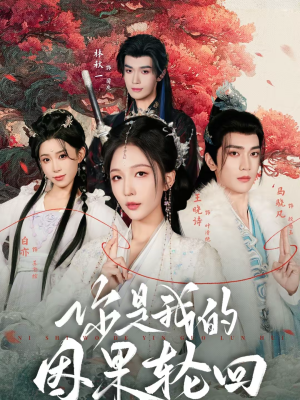 你是我的因果轮回（100集）热门短剧在线观看