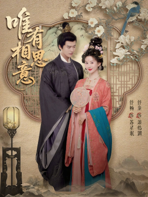 唯有相思意（100集）高清无码短剧免费看