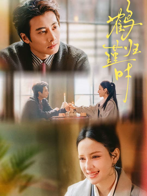 鹤归瑾时（81集）最新火爆短剧抢先看