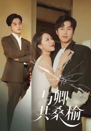 短剧《与卿共桑榆》63集短剧高清流畅在线免费追