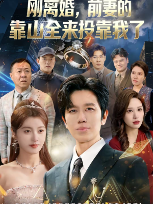 短剧《离婚，前妻的靠山全来投靠我了》80集短剧在线观看无广告