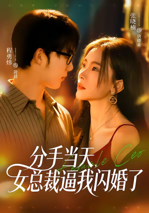 短剧《分手当天，女总裁逼我闪婚了》72集短剧1080P在线免费看