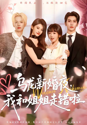 乌龙新婚夜，我和姐姐走错啦（59集）全集短剧免费上线观看