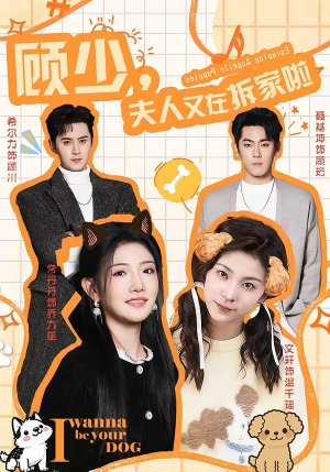 短剧《顾少，夫人又在拆家啦》78集短剧超清画质在线免费追