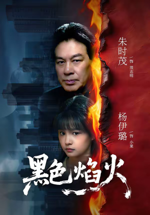 黑色焰火（41集）短剧上头又好看