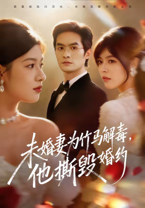 未婚妻为竹马解毒，他撕毁婚约（41集）短剧推荐我每天持续更新