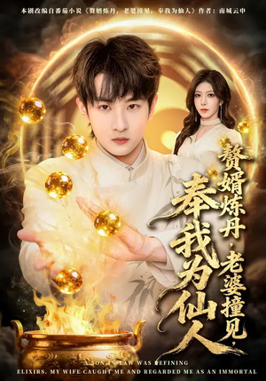 赘婿炼丹，老婆撞见，奉我为仙人（59集）短剧排行榜前十名