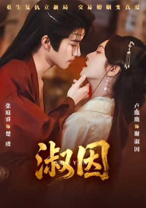 短剧《淑因》65集短剧高清完整版免费观看