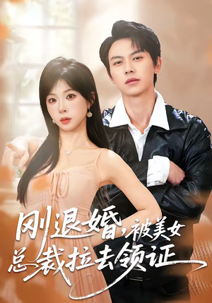 短剧《刚退婚，被美女总裁拉去领证》81集短剧高清无删减在线观看