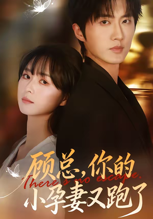 短剧《顾总，你的小孕妻又跑了》47集短剧全集免费在线直看