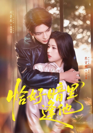 恰好暗里逢他（66集）这部短剧让人心动了