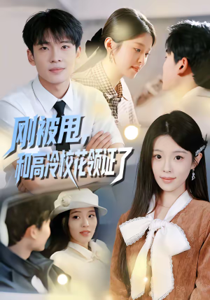 短剧《刚被甩，和高冷校花领证了》67集短剧超清画质免费追剧