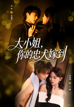 短剧《大小姐，你的忠犬嫁到》80集短剧全集高清在线速看