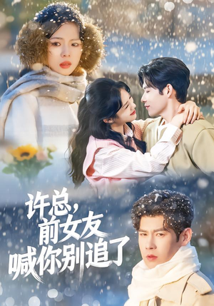 许总，前女友喊你别追了（80集）热门短剧推荐古装