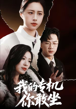 短剧《我的专机你敢坐》62集短剧完整版免费畅享观看