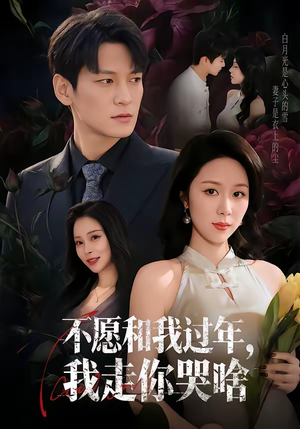 不愿和我过年，我走你哭啥（74集）免费观看热门短剧