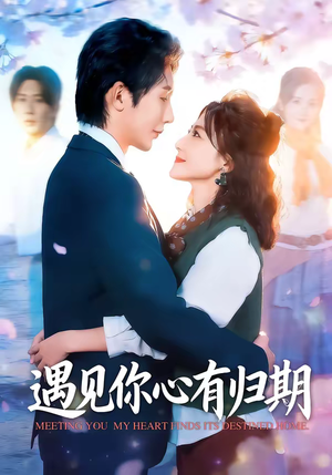 遇见你心有归期（81集）短剧大结局完美收官