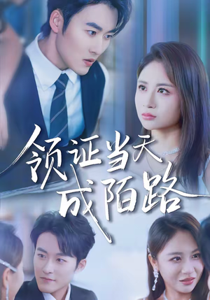 短剧《领证当天成陌路》39集短剧在线观看完整版大结局