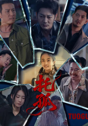 托孤（65集）短剧来了精彩继续