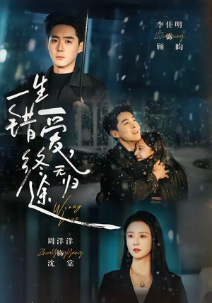 一生错爱，终无归途（74集）短剧大结局完整版免费看