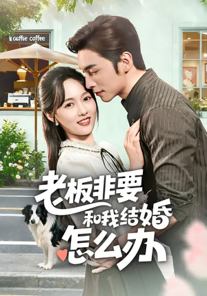 短剧《老板非要和我结婚怎么办》50集短剧全集免费在线看个够