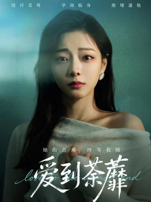 爱到荼蘼（63集）全集短剧免费观看