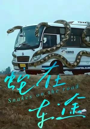 短剧《蛇在车途》34集短剧无删减全集免费观看