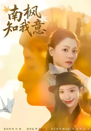 短剧《南枫知我意》41集短剧高清在线观看无广告