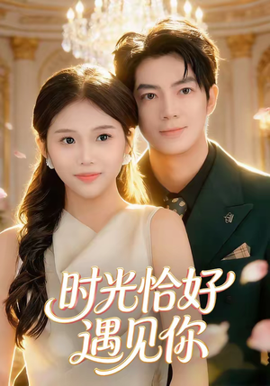 时光恰好遇见你（80集）排行榜前十的短剧