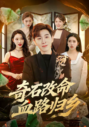 短剧《奇石改命血路归乡》81集短剧超清画质在线免费追