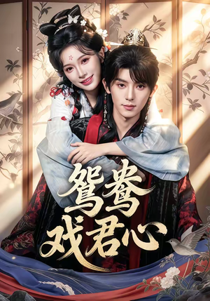 短剧《鸳鸯戏君心》60集短剧全集免费畅享观看