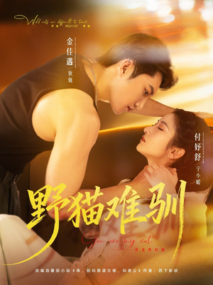 短剧《野猫难驯》73集短剧全集无删减观看