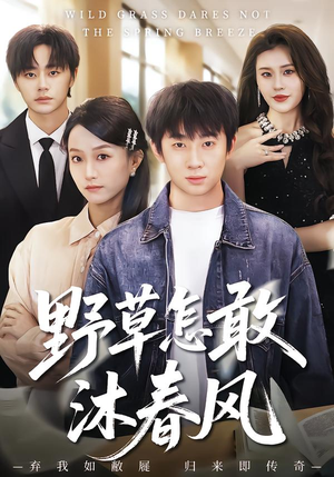 短剧《野草怎敢沐春风》61集短剧在线解锁全集免费观