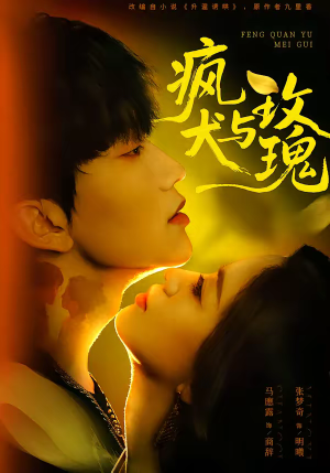 疯犬与玫瑰（80集）好看的短剧电影