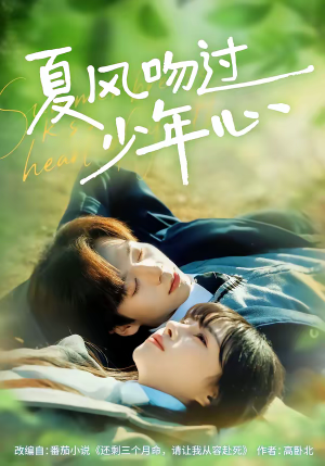 夏风吻过少年心（76集）睡不着一起追短剧吧
