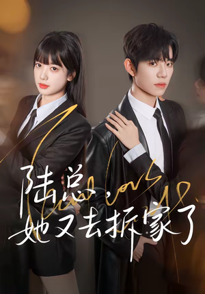 短剧《陆总，她又去拆家了》80集短剧高清在线免费追