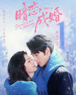 短剧《暗恋成婚》60集短剧1080P在线看完整剧情