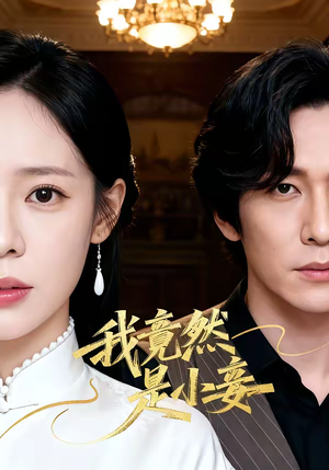 我竟然是小妾（47集）男频热门短剧片段